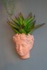 7x5.5x9" Visage Head Bust Planter, Brown - Home Wall Planter
